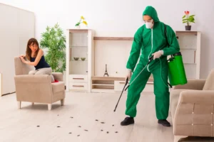 Pragas em Casa? 5 Dicas + Desentupidora em Guarulhos